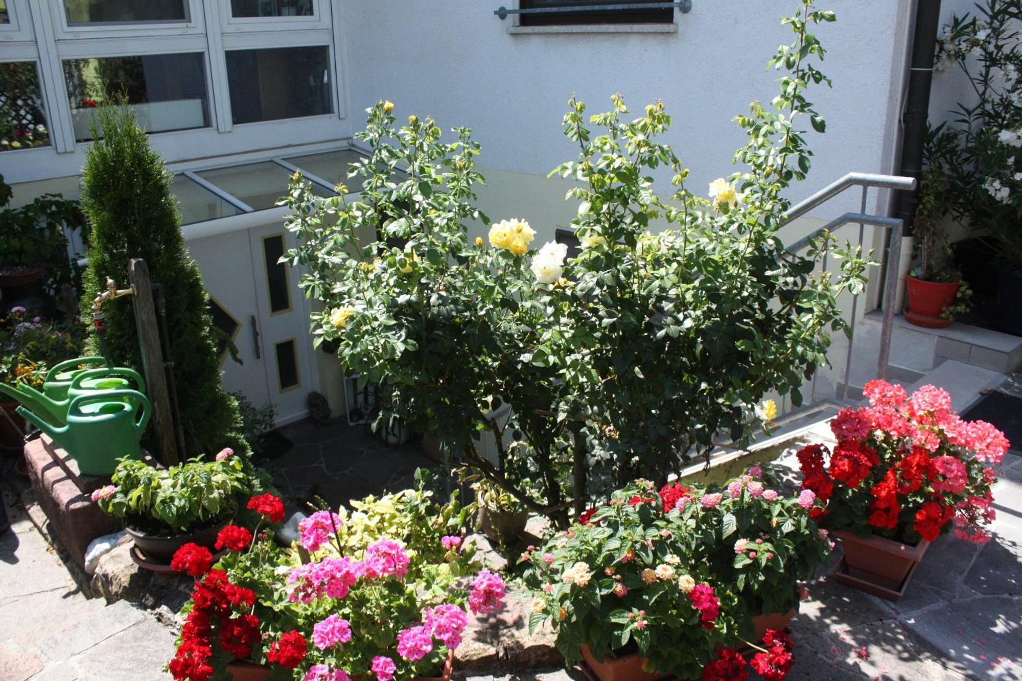 Ferienwohnung Burger Sasbach am Kaiserstuhl Exterior foto